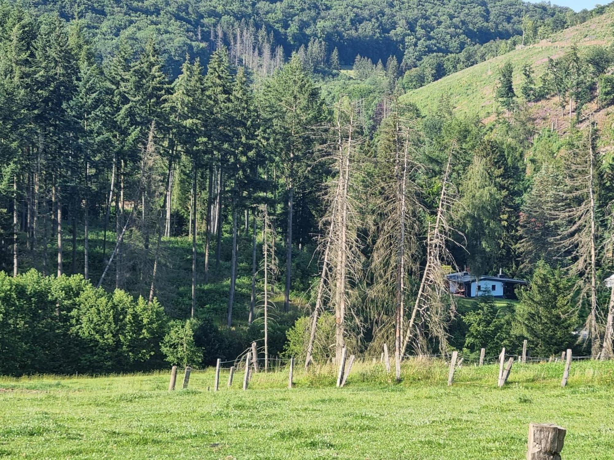 Explorer'S Lodge & Camping Helminghausen Zewnętrze zdjęcie