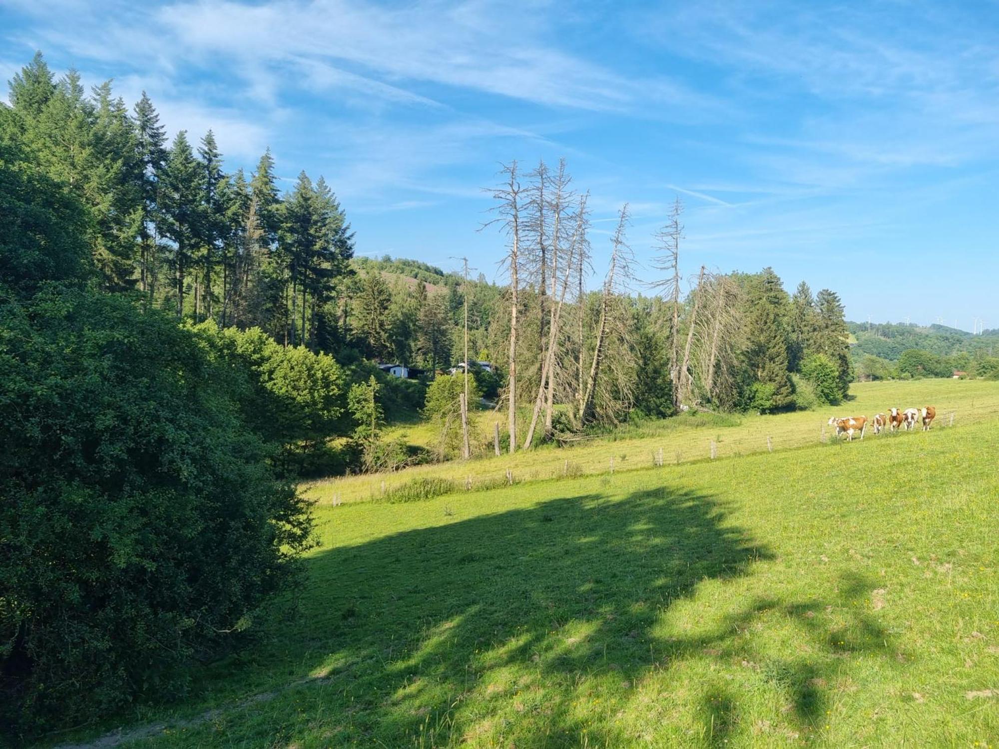 Explorer'S Lodge & Camping Helminghausen Zewnętrze zdjęcie