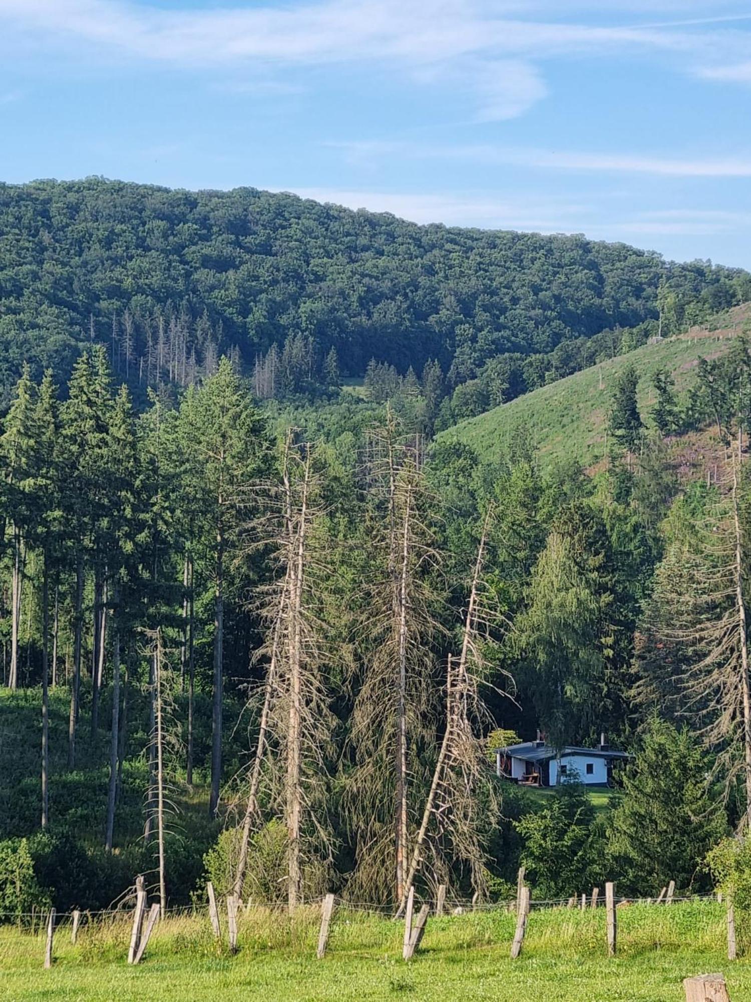Explorer'S Lodge & Camping Helminghausen Zewnętrze zdjęcie